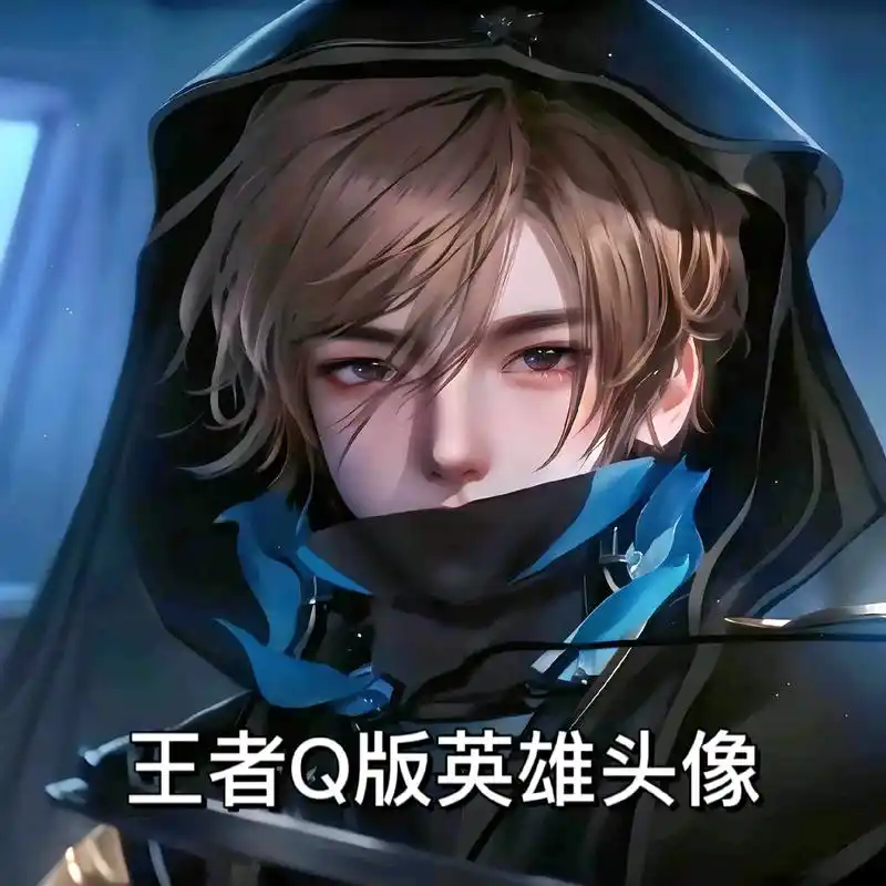 我也是野王,带你彻底疯狂.王者荣耀q版英雄头像#王者头像 #五排头像