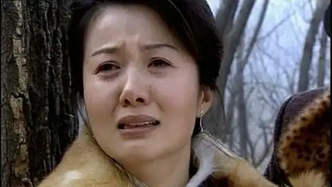 虎踞龙盘_电视剧_主演杨凡,斯琴高娃,郑卫莉个人资料简介_高清完整版