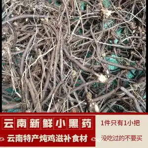新鲜云南小黑药根文山特产野生炖鸡滋补食材滇川变豆菜铜角威仙灵