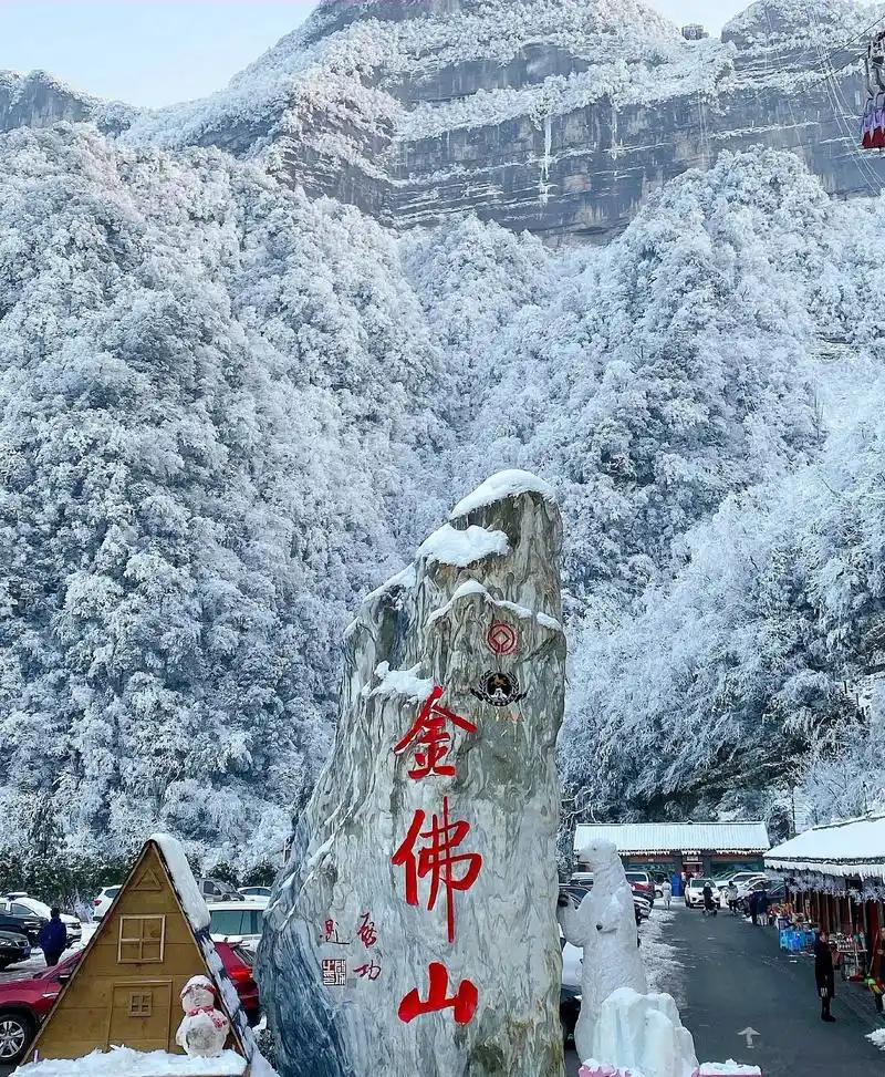 这个冬天重庆金佛山看雪好去处,真的很美呀