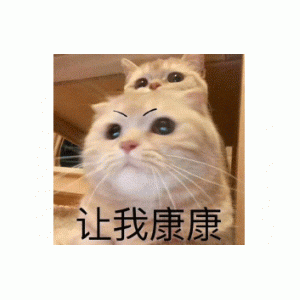 熊猫头群帅在此表情包 - 表情图