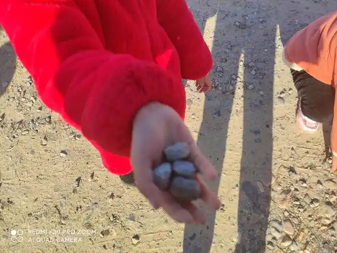 青石四五片 心与物相随 -记录东庄幼儿园拾石子的童趣