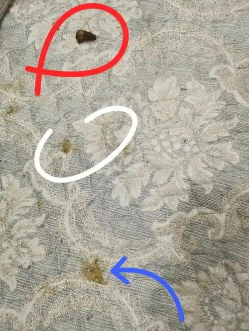 求救大神怎样不让狗狗在沙发上拉屎拉尿