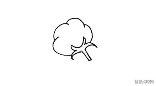 棉花简笔画画法步骤 - 智慧妈咪网