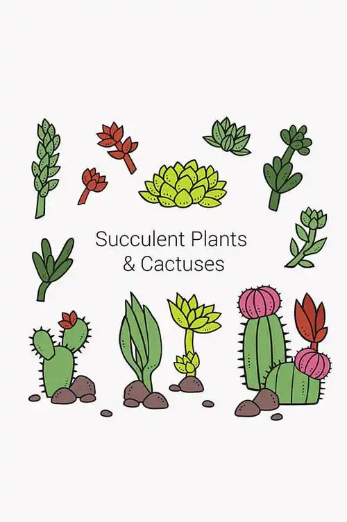 11款卡通多肉植物设计矢量素材