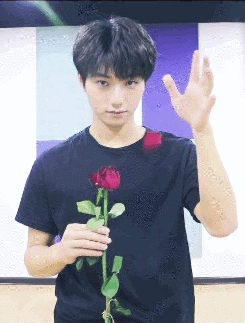 【0506-0509】李振宁考拉行程播报专赂6.