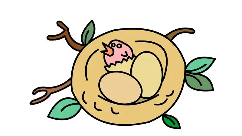 鸟窝怎么画 鸟窝的画法 -养娃家