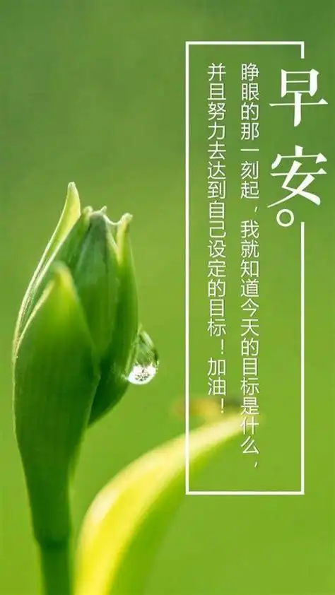 朋友圈励志早安心语朋友圈励志正能量语录2022已更新今日资讯