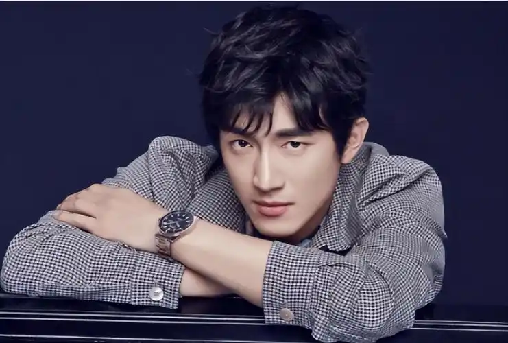 中国颜值最高十大男星(长相剑眉星目的10位男明星)插图29