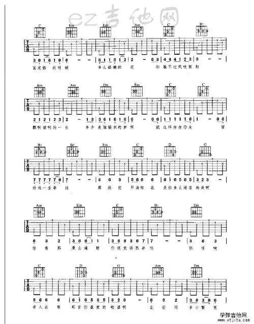 丁香花简单吉他谱 新手丁香花吉他谱