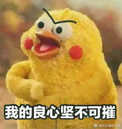 高晓松暗评肖战事件,房似锦无辜躺枪