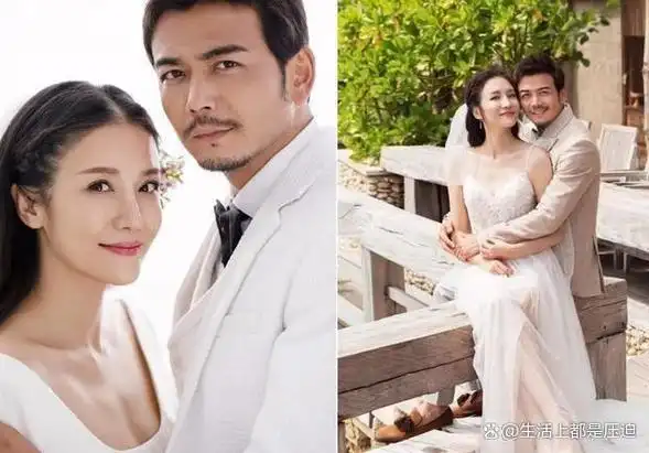 杨烁和王黎雯是一对在演艺圈中结合的夫妻.