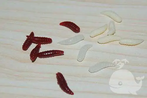 【梦见手长蛆虫】