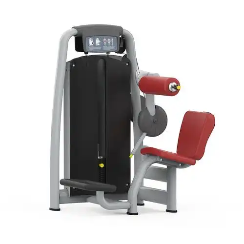 后背伸展训练器 背肌后压训练器 商用健身房背肌训练器厂家批发