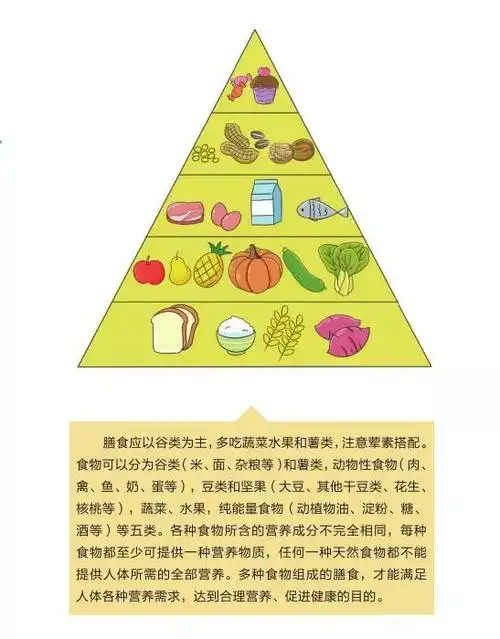 「图文知识」健康行为基本要求之一——合理膳食