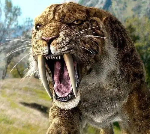 为什么剑齿虎会突然灭绝?看完你就知道了.