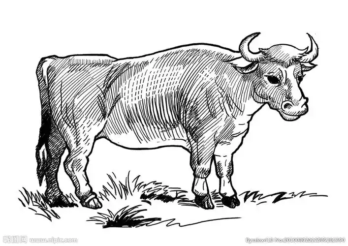 手绘牛设计图__其他_动漫动画_设计图库_昵图网nipic.com