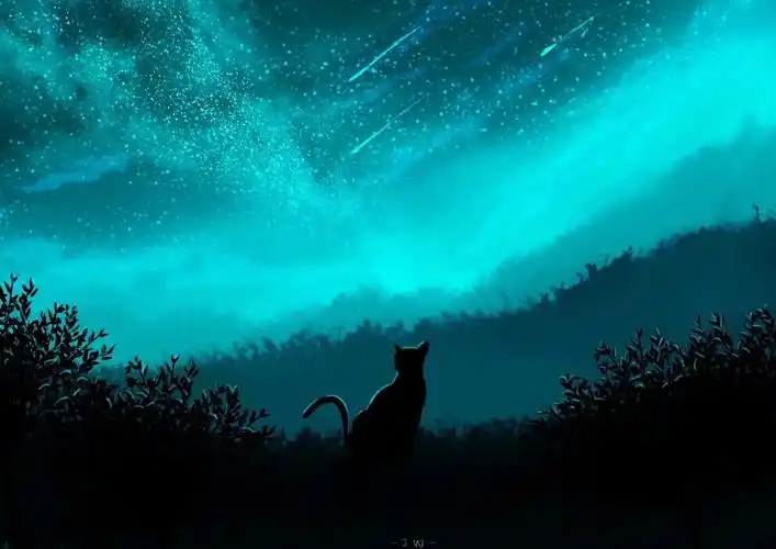星空下的猫 画师jw(p id=33558705) 本作品id=75779823