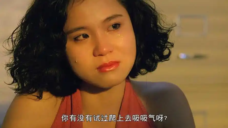 快乐的小鸡 剧照