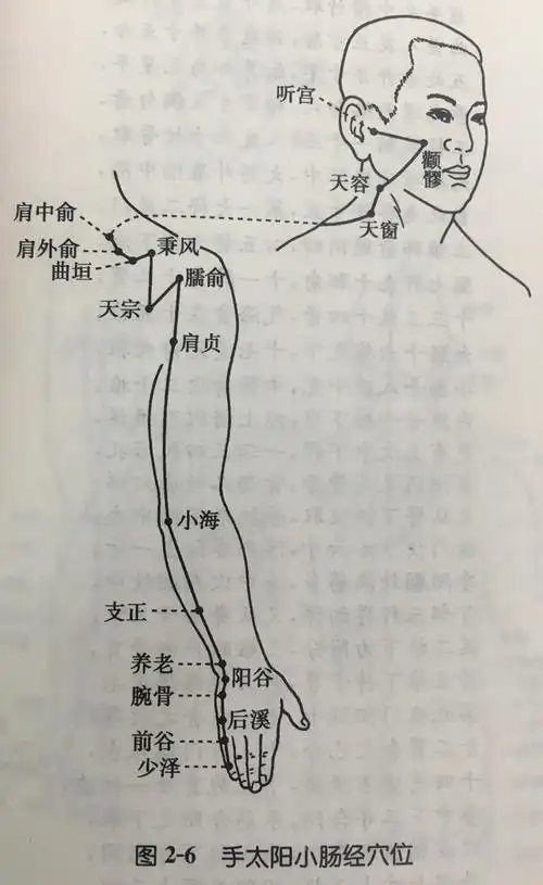 手太阳小肠经穴位分寸歌