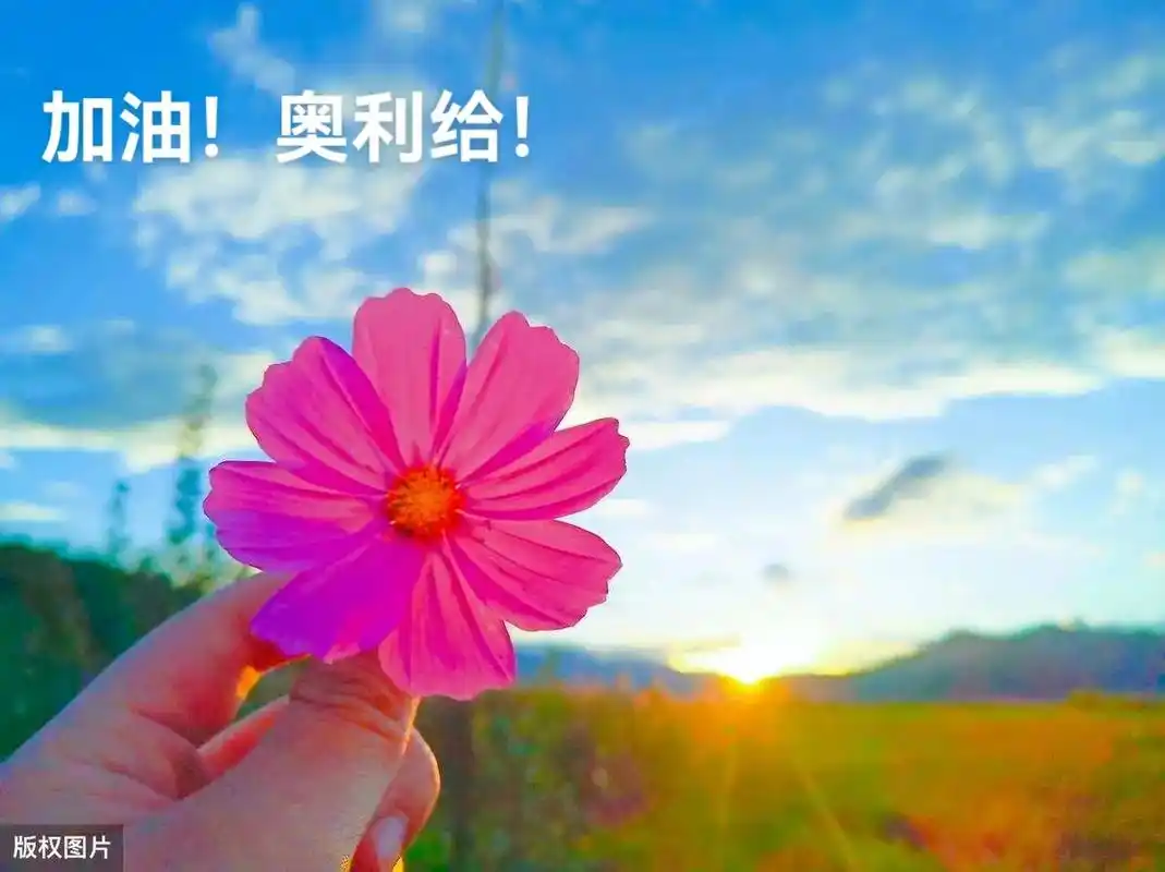 不计较,不抱怨 版权图片 开心过好每一天! 加油!奥利给!  - 抖音