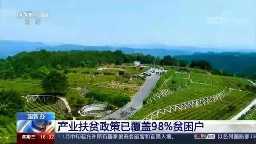 《新闻直播间》与此同时△旺苍县水磨镇广福村天麻种植△旺苍县嘉川镇