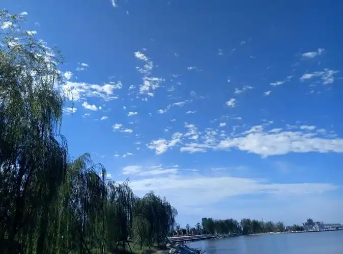 其它 一个大晴天,醉了合阳城云朵白          云朵是给天空披上的轻纱