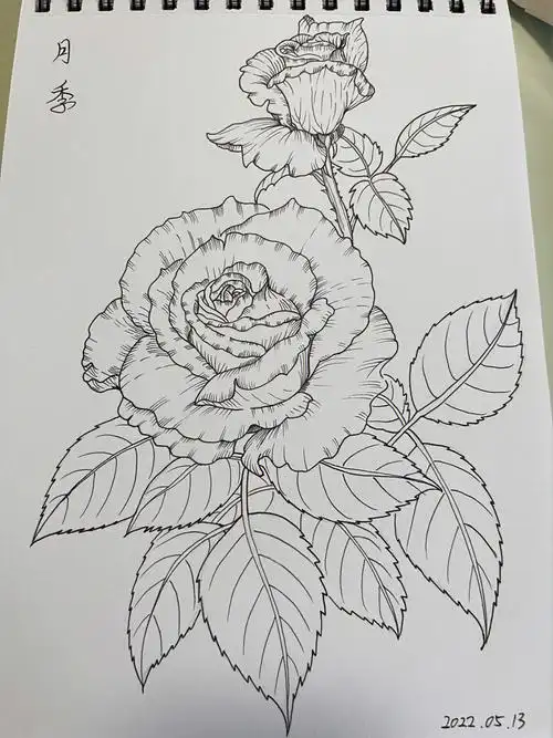 苏轼·《月季》————————————临摹:《自在飞花》笔