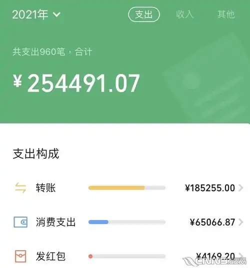 去年光微信就支出10万都不知道花在哪里了