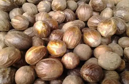 香果的功效与作用