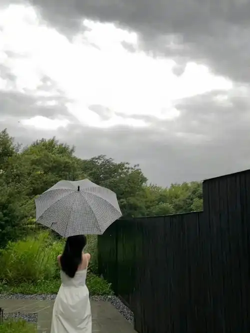 虞美人雨中打伞live照片9615～雨中打伞氛围感好强,背影也太美了
