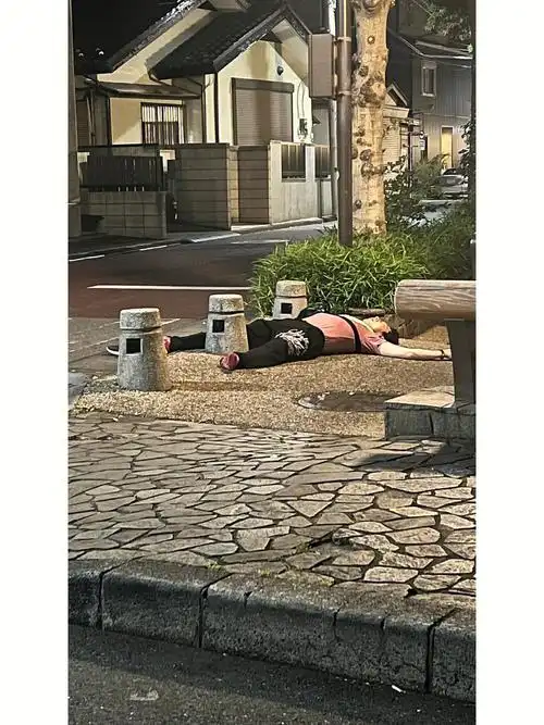 日本随地大小便违法吗