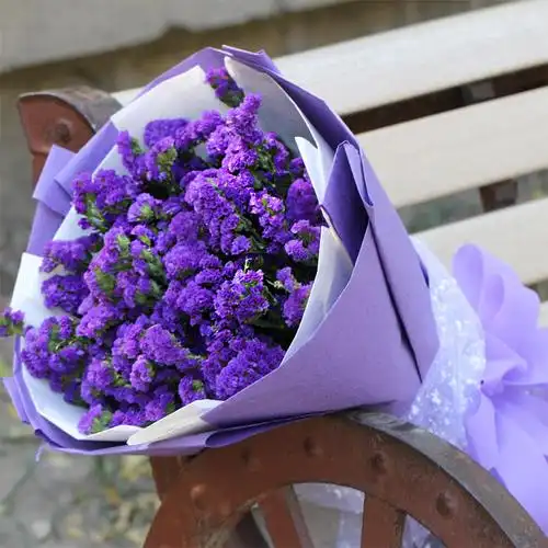 石家庄同城鲜花速递勿忘我花束花店鲜花送花花束鲜花薰衣草母亲节