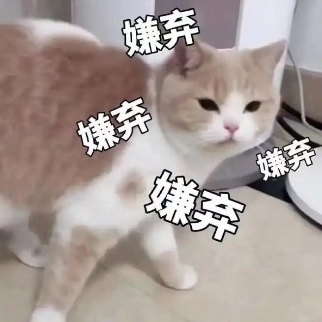 萌宠gif猫星人gif嫌弃gif走开gif呆萌gif可爱gif