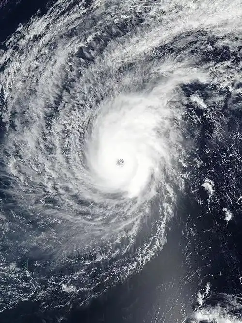 西北太平洋2月超强台风蝴蝶