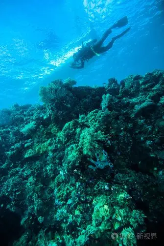蓝色的深海潜水潜水员kapoposang印度尼西亚