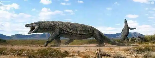 「wtt」大和的能力-龙龙蜥蜥果实科莫多龙形态古巨蜥形态_尾田_德雷克