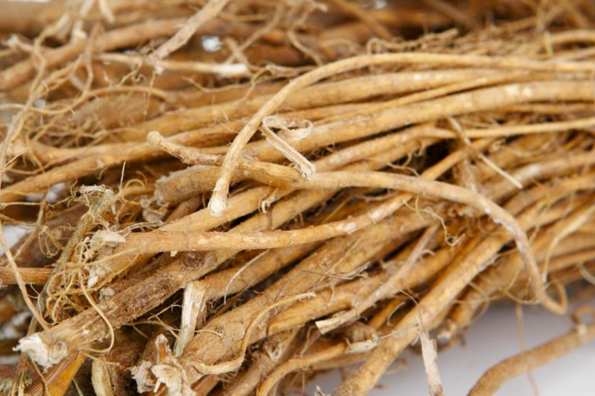 石参- 优质问答专区