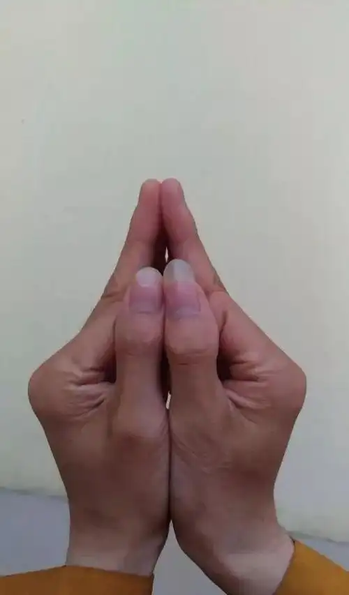 梵音楞严咒普传降魔手印与修行地基