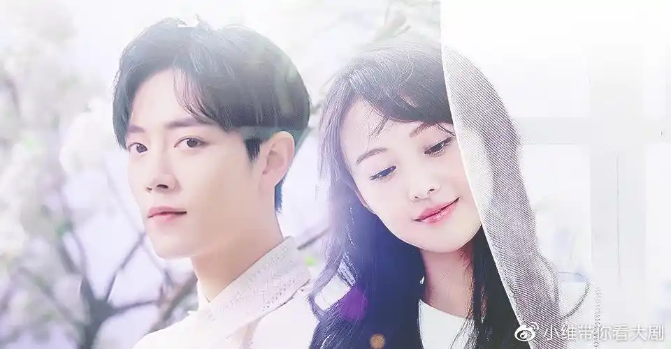 郑爽犯下的错,凭什么让肖战承担?