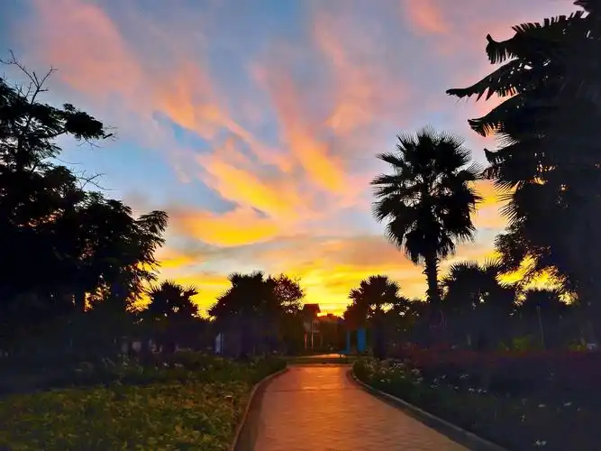 早晨的美景(手机拍摄作品5)