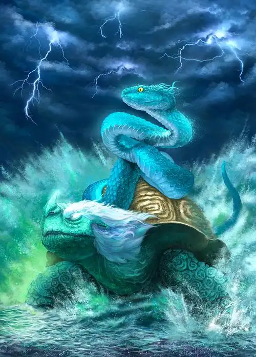 天之四灵——《玄武·风暴》