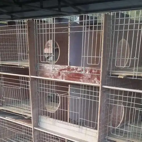 河南兔子笼子兔子窝兔舍价格