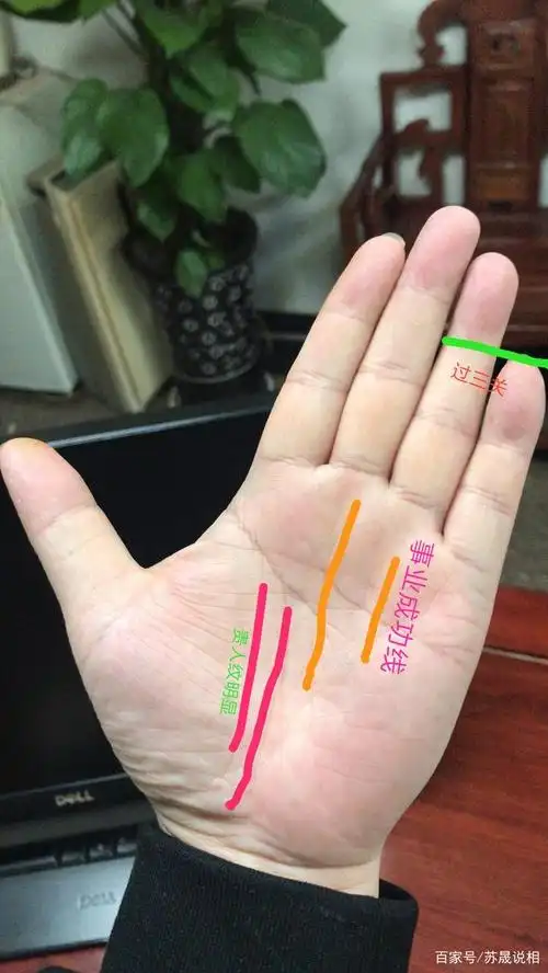 生命线和智慧线重叠在食指下方,智慧线长度到达小指者是吉相,精神稳定