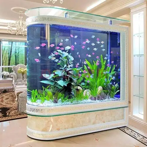 看到了这个奇怪的问题后,养鱼老道差点没笑出声来,我真想告诉他,鱼缸