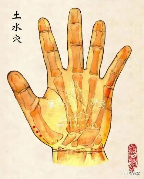 董氏奇穴:土水穴【穴位讲解】|董氏奇穴|穴位|中医|胃炎
