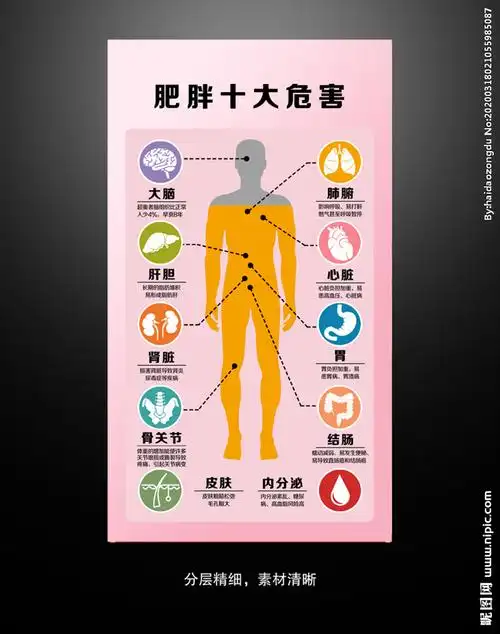 肥胖的十大危害图片