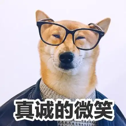 萌宠汪星人真诚的微笑努力微笑憨憨呆萌gif动图_动态图_表情包下载