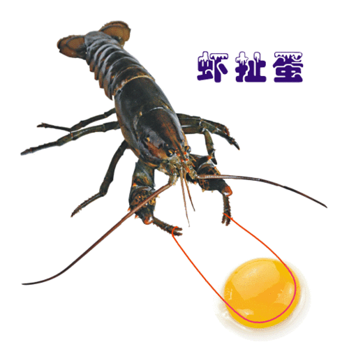 9629ゞ不 怕 牙家护卫>