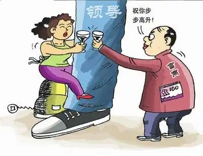 王亚丽骗官之道———傍富商结识市领导(资料图片)